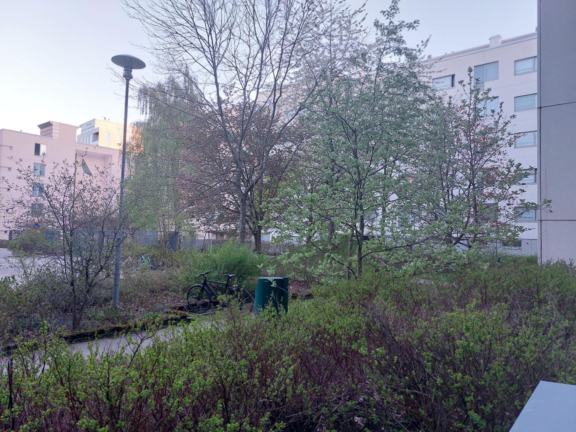 Saunallinen Kolmio Jaetkaesaaressa Helsinky Exteriér fotografie